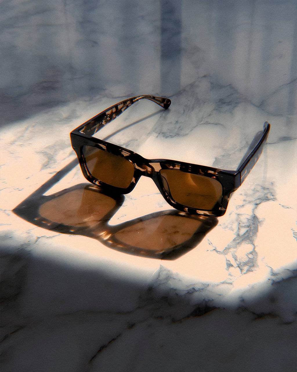 The Speedway - Desert Tortoise Bio Polarized