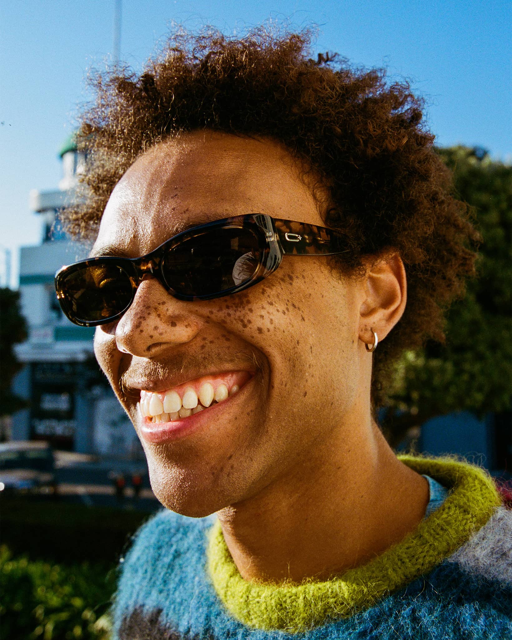 The Void Pixie - Desert Tortoise Bio Polarized